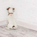 Zwaarder straffen helpt niet