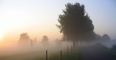 Tips bij rouw
