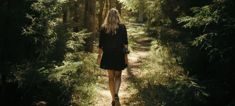 brainwalk (1)