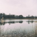 Lake landscape.