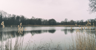 Lake landscape.