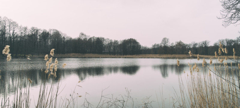 Lake landscape.