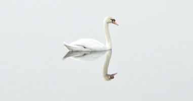 zelfbeeld dochter