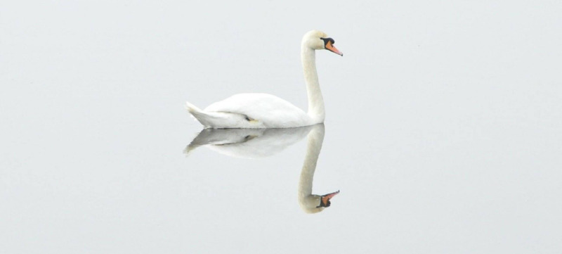 zelfbeeld dochter