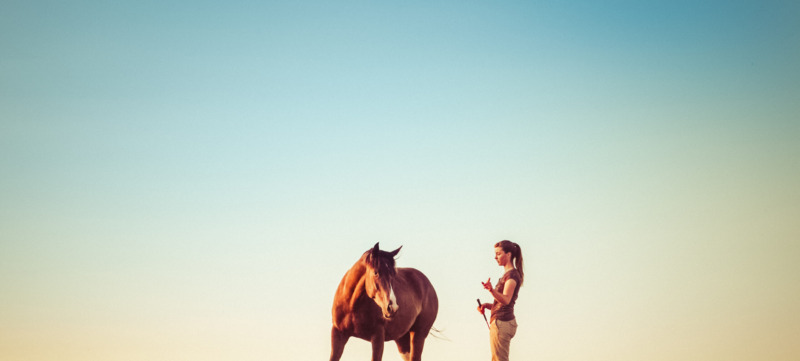 Young Woman Training Horse
