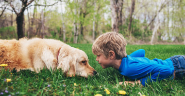 Boy and his golden retriever dog lying on grass looking at each other
