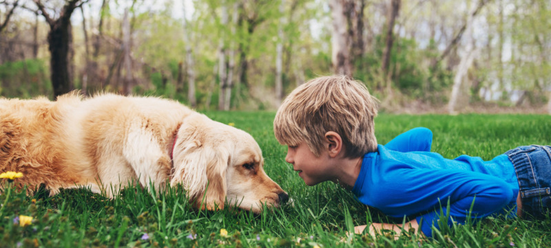 Boy and his golden retriever dog lying on grass looking at each other