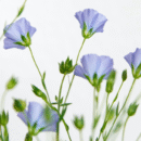 Haal meer uit de natuur (1)