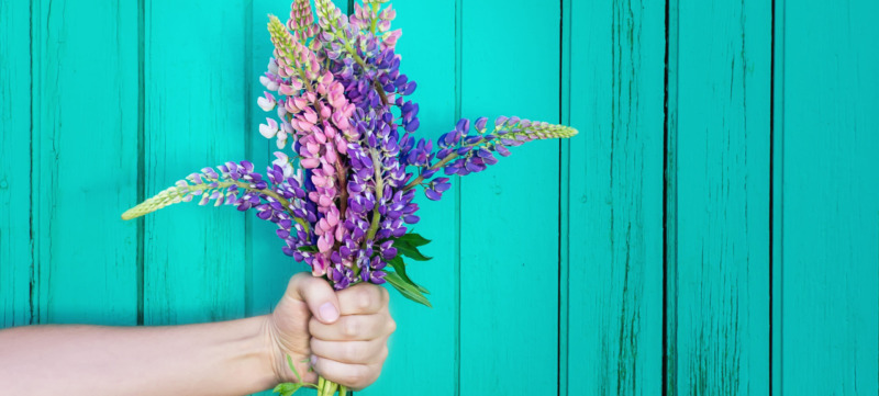 Human hand is holding a bouquet of wildflowers. Celebration scene