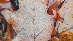 herfstdip