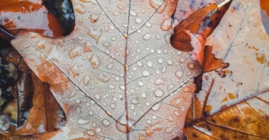 herfstdip