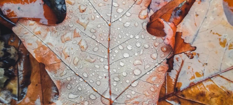 herfstdip
