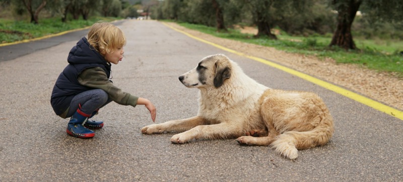 kind en hond