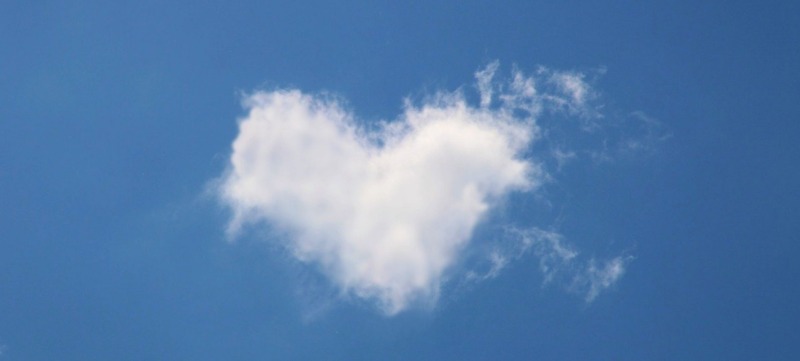 seks zonder liefde