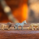 samen rekenen