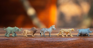 samen rekenen