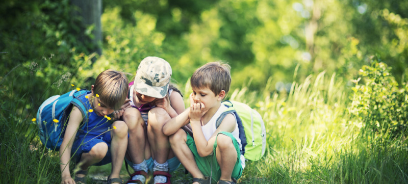 Kids observing bugs in forest