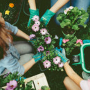 Family Planting Flowers Together.