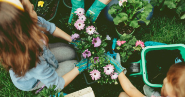 Family Planting Flowers Together.