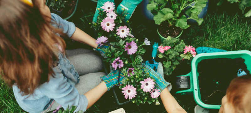 Family Planting Flowers Together.