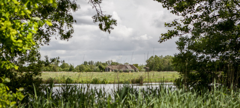 a rural view of a Dutch farmland with overcast skies