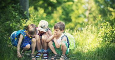 Kids observing bugs in forest