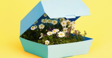 Flowers In A Box