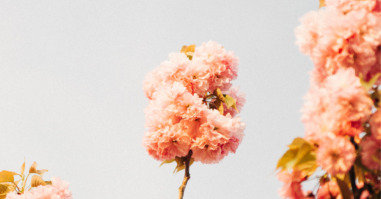 fam_michael-carnevale-435126-unsplash