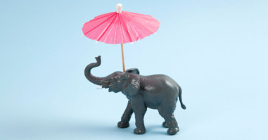 olifant