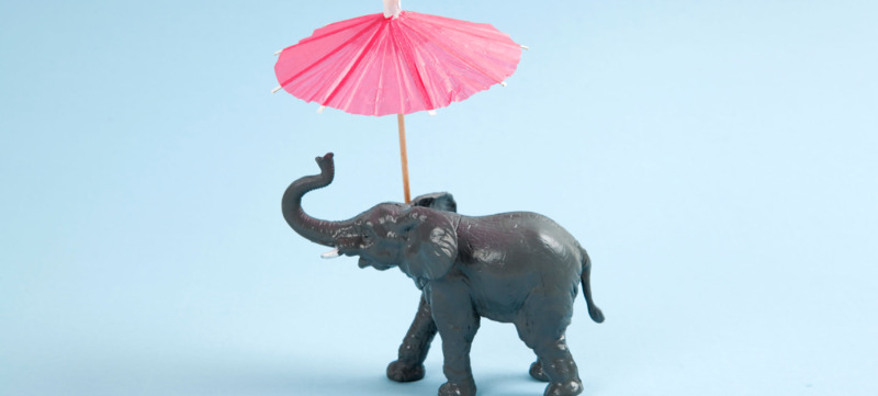 olifant