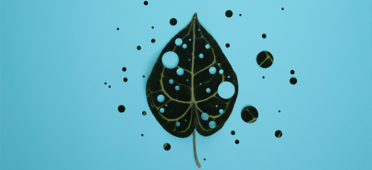 Mindfulness site
