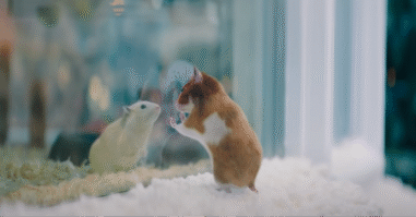 Kerstcommercial
