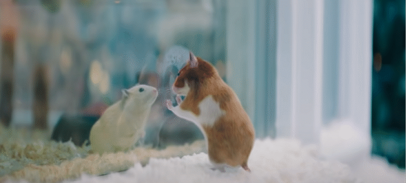 Kerstcommercial