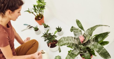 mindful leven