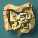Paper craft Colon