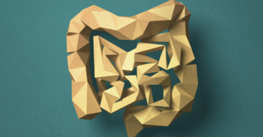 Paper craft Colon