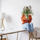introversie