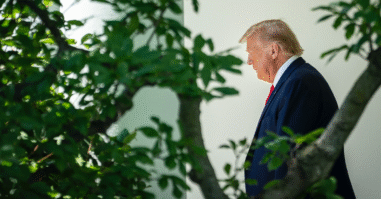 HZ Donald Trump