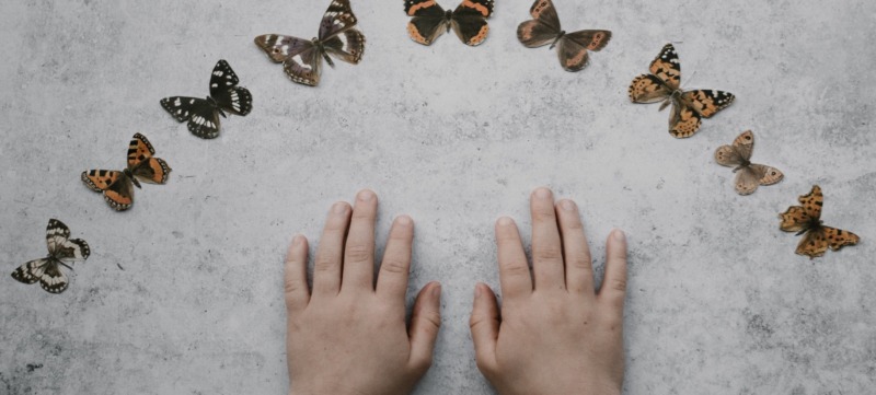 annie-spratt-tSePVHkxUCk-unsplash