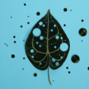 Mindfulness-site