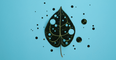 Mindfulness-site