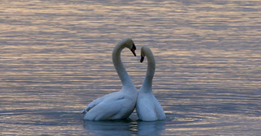 wolfgang-hasselmann-TwLGzTFFFio-unsplash (1)