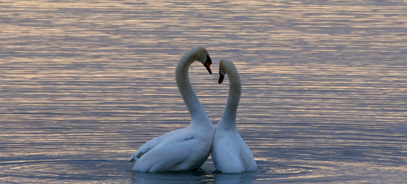 wolfgang-hasselmann-TwLGzTFFFio-unsplash (1)