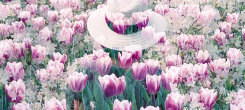 Young Woman Wearing Hat Standing In A Field Of Tulips