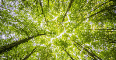 Natuur
