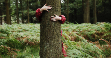 Natuur