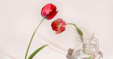 spiegelen emoties