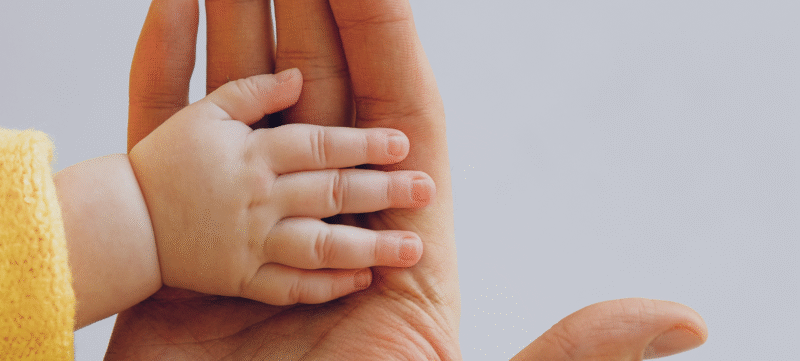 afbeeldingen website PM online (22)