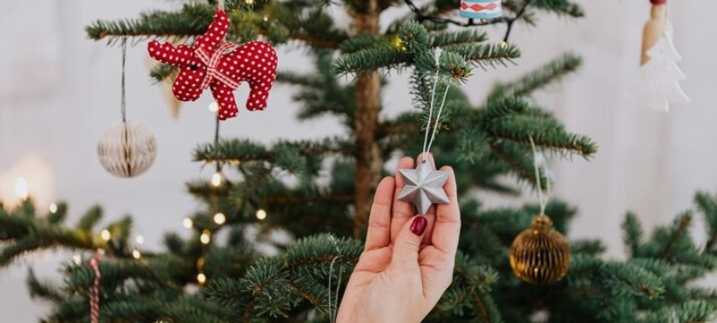 pexels-karolina-grabowska-5468265_1_optimized_100