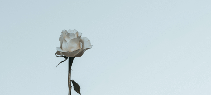 MicrosoftTeams-image (16)